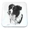 Coaster - Border Collie by Mike Sibley