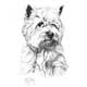 Mike Sibley West Highland White Terrier